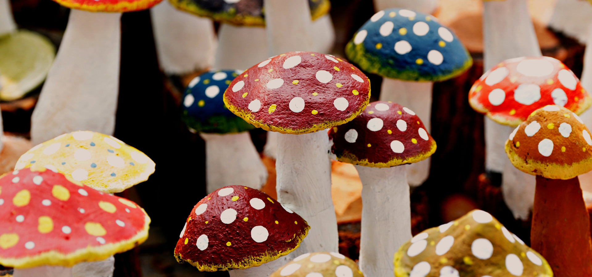 collection-banner-image